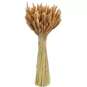 Букет Стильный Дом