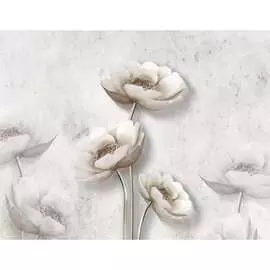 Бумажные бесшовные фотообои Verol