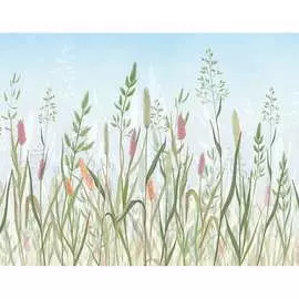 Бумажные бесшовные фотообои Verol