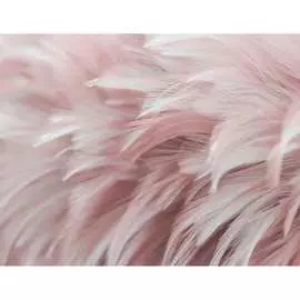 Бумажные бесшовные фотообои Verol