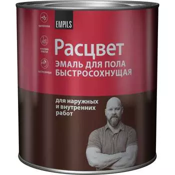 Быстросохнущая эмаль для пола Расцвет 66020