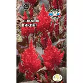 Целозия семена СеДек