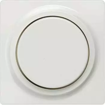 Центральный элемент дизайна для диммера с поворотной кнопкой Siemens