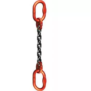 Цепная ветвь ТРАСТ 4687202684472