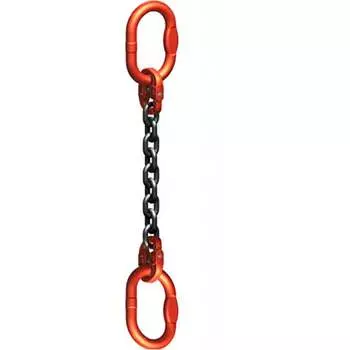 Цепная ветвь ТРАСТ 4687202684489