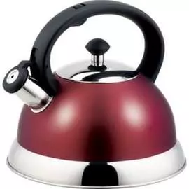 Чайник appetite