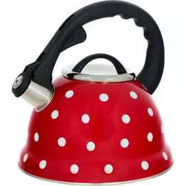 Чайник Regent inox