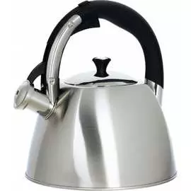 Чайник Regent inox Linea TEA 93-TEA-30