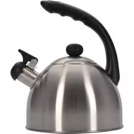 Чайник Regent inox