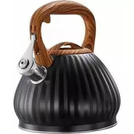 Чайник Regent inox