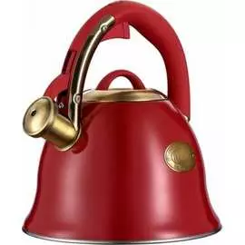 Чайник Regent inox