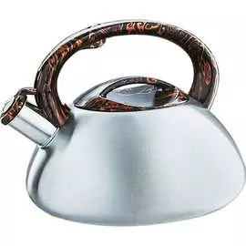 Чайник Webber BE-0594 Р1-00003625