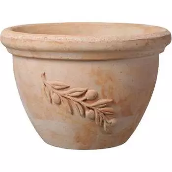 Чаша Deroma olive TG410NSZ