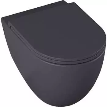 Чаша подвесного унитаза ALLEN BRAU Reality 4.32006.AN 00280168