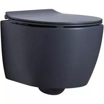 Чаша подвесного унитаза ALLEN BRAU Fantasy 4.11004.AN 00269464