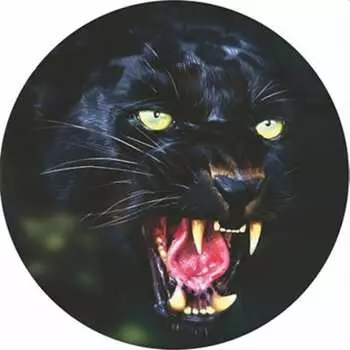 Чехол запасного колеса SKYWAY Черная пантера S06301061