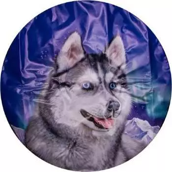 Чехол запасного колеса SKYWAY Хаски S06301023