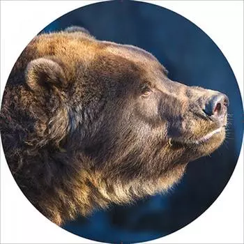 Чехол запасного колеса SKYWAY