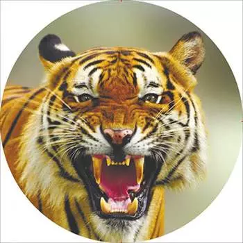 Чехол запасного колеса SKYWAY Тигр 2 S06301035