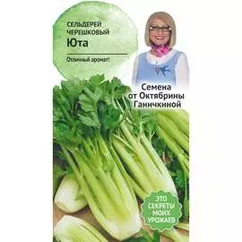 Черешковый сельдерей семена ОКТЯБРИНА ГАНИЧКИНА