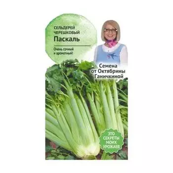 Черешковый сельдерей семена ОКТЯБРИНА ГАНИЧКИНА