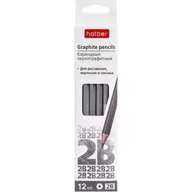 Чернографитный карандаш Hatber PERFECT 074190