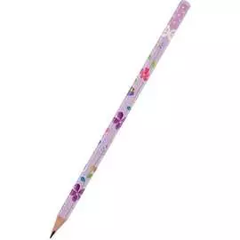 Чернографитовый карандаш Bruno Visconti