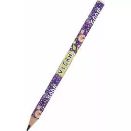 Чернографитовый карандаш Bruno Visconti