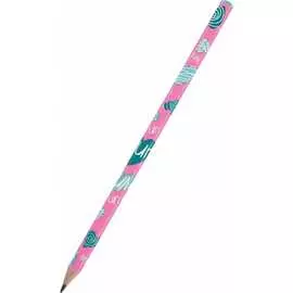 Чернографитовый карандаш Bruno Visconti