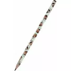 Чернографитовый карандаш Bruno Visconti