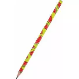 Чернографитовый карандаш Bruno Visconti