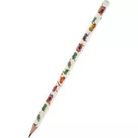 Чернографитовый карандаш Bruno Visconti