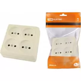 Четырехместная розетка TDM ELECTRIC Ладога SQ1801-0220