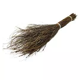 Чилиговая метла ЛЕТО