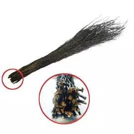 Чилиговая метла ЛЕТО