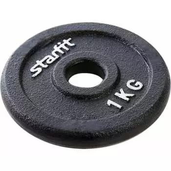 Чугунный диск Starfit BB-204 УТ-00018815