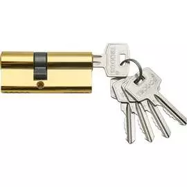 Цилиндровый механизм Trodos ЦАМ ЦМ 70 208133