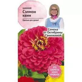 Цинния семена ОКТЯБРИНА ГАНИЧКИНА