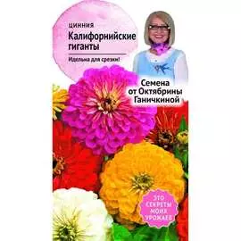 Цинния семена ОКТЯБРИНА ГАНИЧКИНА