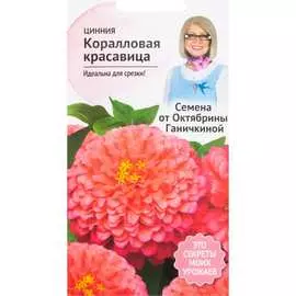 Цинния семена ОКТЯБРИНА ГАНИЧКИНА