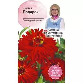Цинния семена ОКТЯБРИНА ГАНИЧКИНА