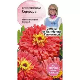 Цинния семена ОКТЯБРИНА ГАНИЧКИНА