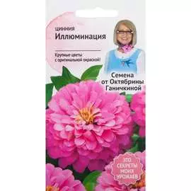 Цинния семена ОКТЯБРИНА ГАНИЧКИНА