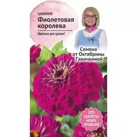 Цинния семена ОКТЯБРИНА ГАНИЧКИНА Фиолетовая королева 119359