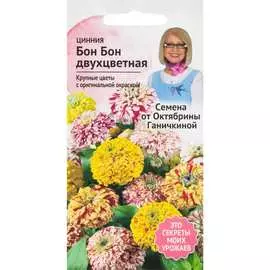 Цинния семена ОКТЯБРИНА ГАНИЧКИНА