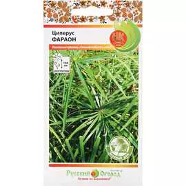 Циперус семена РУССКИЙ ОГОРОД