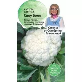 Цветная капуста капуста ОКТЯБРИНА ГАНИЧКИНА Сноуболл 123 120173