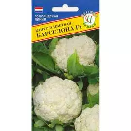 Цветная капуста капуста Престиж-Семена Барселона F1 00025381