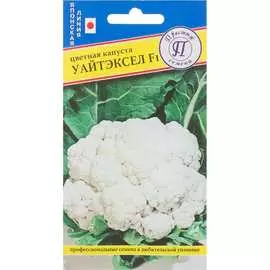Цветная капуста капуста Престиж-Семена Уайтэксел F1 00025363