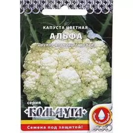 Цветная капуста капуста РУССКИЙ ОГОРОД